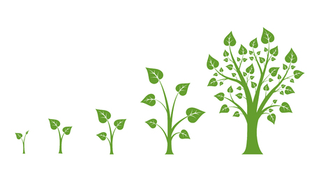 Growth Stock Photos and Images - 123RF