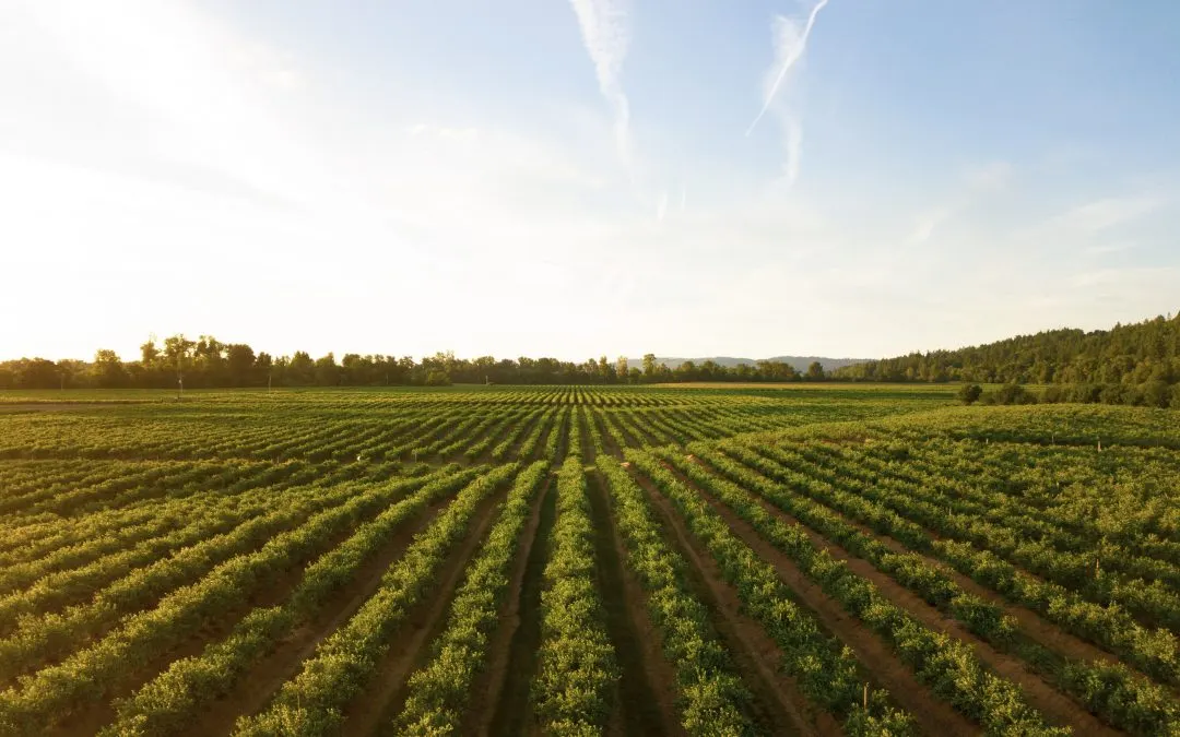History of Agriculture: Farming Through the Ages - Pure Greens: Custom  Container Farms