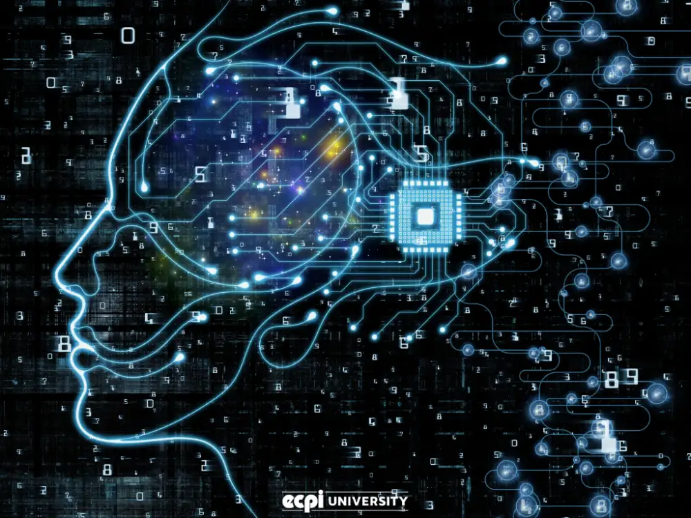 Are Information Systems and Information Technology the Same: Which Is Best  For Me?